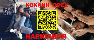 гидра Будённовск