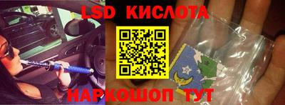 гидра Будённовск