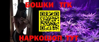 гидра Будённовск