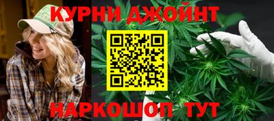 гидра Будённовск