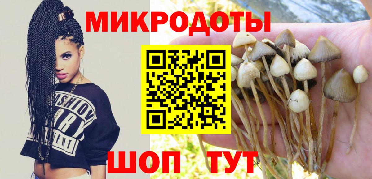 что такое наркотик  Псилоцибиновые грибы MAGIC MUSHROOMS  Вход с VPN  Псилоцибиновые грибы Psilocybe  Краснокаменск 
